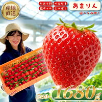 【ふるさと納税】 在庫追加！ いちご 選べる あまりん べにたま よつぼし...