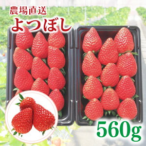 yӂ邳Ɣ[Łz yOtz ڂ 560g i 280g × 2P j   Xgx[ Yn n ʕ  t[c fU[g Hi ① 񂫔_ ʌ Hs