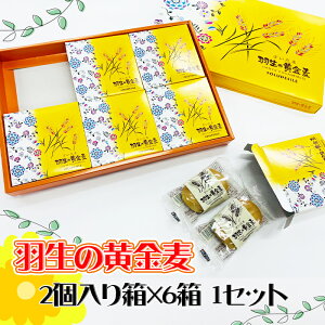 yӂ邳Ɣ[Łz XC[c Ăَq ܉H̉ 2蔠×6 1Zbg XC[c mَq Hi Mtg yY a Ε Mtg v[g  َq