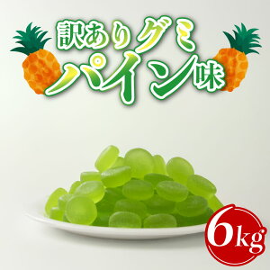 yӂ邳Ɣ[Łz 󂠂 O~ 6kg×1 Iׂ閡 pC  k َq pCibv َq ʉَq   ʏ`O~ 󂠂t[c 󂠂XC[c ӂ邳Ɣ[Ŗ󂠂 ӂ邳Ɣ[