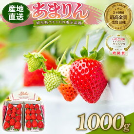 【ふるさと納税】 【12/05より在庫追加！】 【予約】 あまりん 全国いちご選手権 3年連続最高金賞 選べる容量 500g 1000g いちご 苺 ストロベリー 産地直送 ご当地 果物 くだもの フルーツ デザート 食品 冷蔵 ロコファーム 埼玉県 羽生市