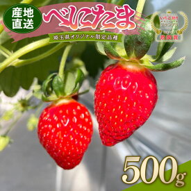 【ふるさと納税】 【予約】 べにたま 埼玉限定品種 選べる容量 500g 1000g いちご イチゴ 苺 ストロベリー 産地直送 ご当地 果物 くだもの フルーツ デザート 食品 スイーツ 冷蔵 ロコファーム 埼玉県 羽生市
