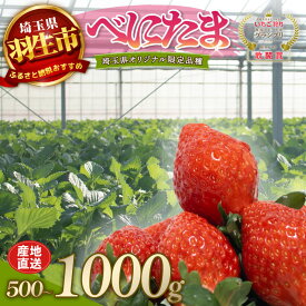 【ふるさと納税】 【予約】 べにたま 埼玉限定品種 選べる容量 500g 1000g いちご イチゴ 苺 ストロベリー 産地直送 ご当地 果物 くだもの フルーツ デザート 食品 スイーツ 冷蔵 ロコファーム 埼玉県 羽生市