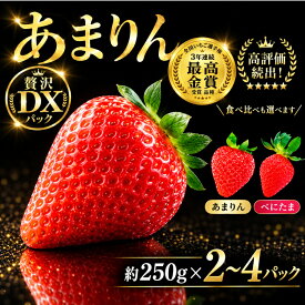 【ふるさと納税】 いちご あまりん べにたま 選べる 約 500g 1000g 苺 セット フルーツ 果物 くだもの ブランド苺 産地直送 デザート 大粒 新品種 甘い 食品 冷蔵 人気 おすすめ 贈答 ギフト プレゼント 旬 itigo ichigo amarinn 2パック 4パック ロコファーム 埼玉県 羽生市