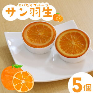 yӂ邳Ɣ[Łz Ăَq TH 5 Zbg IW VbvЂ ĉَq َq mَq ʕ fU[g XC[c ̓ ̓ hV̓  Ε Mtg v[g lC EB