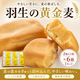 【ふるさと納税】 スイーツ 焼き菓子 さいたま羽生の黄金麦 2個入り箱×6箱 1セット スイーツ 洋菓子 食品 ギフト 手土産 誕生日 御歳暮 ギフト プレゼント 差し入れ お菓子