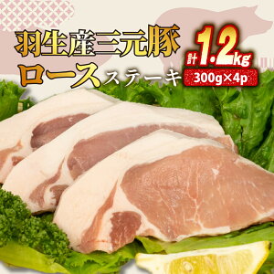 yӂ邳Ɣ[Łz [X Xe[L 1.2kg ( 100g × 3 ) × 4P Y O Ⓚ ^   Ղ e 傫 ؂ ؓ  u^ |[N W[V[ ٓ  y ӂ͂ 