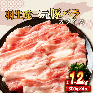 yӂ邳Ɣ[Łz o XCX 1.2kg ( 300g × 4P ) Y O Ⓚ ^   Ղ e 傫 ؓ  u^ |[N W[V[ Ԃ ؃o ٓ  y ӂ