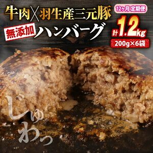yӂ邳Ɣ[Łz no[O  ؓ 1.2kg 2.4kg 3.6kg Iׂ e   w sgp ۑ Y ҂ Ⓚ  ^ e 傫 ` Ղ WH ʂ˂ r[