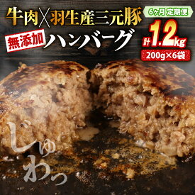【ふるさと納税】 ハンバーグ 牛肉 豚肉 1.2kg 2.4kg 3.6kg 選べる 容量 定期便 個包装 化学調味料 不使用 保存料 無添加 合挽き 冷凍 小分け 真空 大容量 大きめ 肉汁 たっぷり 淡路島 玉ねぎ ビーフ ポーク 牛 豚 肉 合いびき肉 挽肉 ごはん のお供 贅沢 ギフト お歳暮