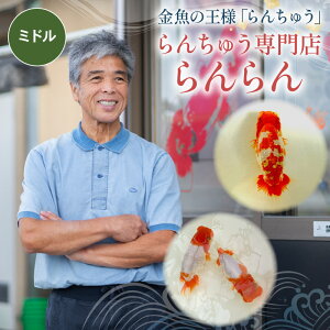 �ԗ�i�摜