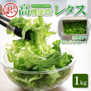 yӂ邳Ɣ[Łz 󂠂 @\ ^X _ Iׂe 700g~1kg T_ Iׂ3i t^X O[[t O[I[N Yn @\ k͔| VN N ٓ t[