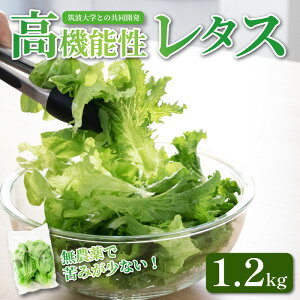 yӂ邳Ɣ[Łz @\ ^X _ Iׂe 400g~1.2kg T_  Iׂ3i t^X O[[t O[I[N Yn @\ k͔| VN ٓ t[h