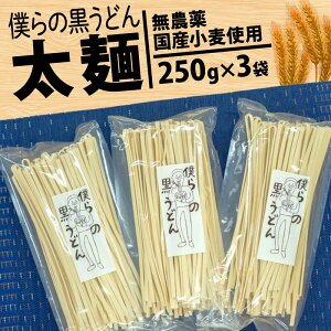 yӂ邳Ɣ[Łz ǂ Iׂ ז  250g 3 750g  _  Y  ǂ  l̍ǂ l̏W ʌ Hs