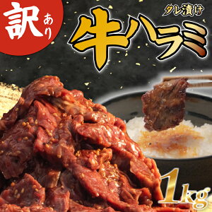 yӂ邳Ɣ[Łz 󂠂 ^Ђn~ 1kg ē n~ t harami  ₫ɂ BBQ n~ P][ ʌ Hs