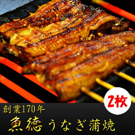 楽天市場 うなぎ キャラクターの通販