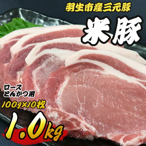 yӂ邳Ɣ[Łz ؓ ؓ[X 1kg (100g×10) [XƂ񂩂p O ē Y  |[N  HsY    ֗ uh uh geL Xe[L  ܂Ƃߔ