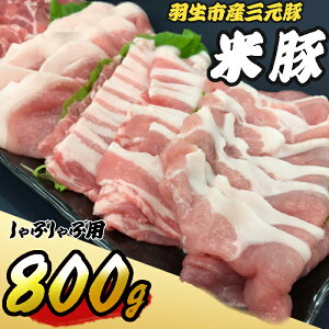【ふるさと納税】羽生市産三元豚　間中さん家の米豚　しゃぶしゃぶセット　800g