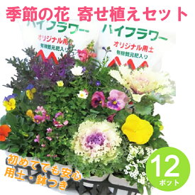 【ふるさと納税】 寄せ植え 季節のお花 12 ポット 用土 鉢 付き プレゼント 日用品 園芸 花苗 おすすめ セット ガーデニング 季節 お花 贈り物 10000円