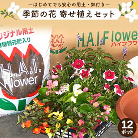 【ふるさと納税】 寄せ植え 花 季節のお花 12ポット 用土 鉢 ガーデニング プレゼント 園芸 花苗 鉢花 鉢植え プランター フラワー フラワーギフト 植物 母の日 父の日 誕生日 玄関 新築祝い ギフト 季節 送料無料 贈り物 農事組合法人ハイフラワー 埼玉県 羽生市