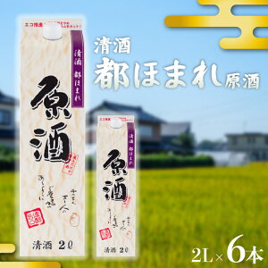 【ふるさと納税】 日本酒 原酒 2Lパック 2~6本セット 都ほまれ 甘口 国産 酒造 米 酒 アルコール 紙パック プレゼント 父の日 お酒 ギフト 晩酌 芳醇 東亜酒造 埼玉県 羽生市