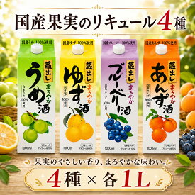【ふるさと納税】 リキュール 飲み比べ お酒 パック 各1L 4本 酒 国産 果実酒 果物 フルーツ 梅酒 ゆず ブルーベリー あんず 人気 宅飲み おすすめ 晩酌 炭酸割り ロック ストレート 紙パック 水割り プレゼント ギフト お祝い 父の日 お中元 お歳暮 東亜酒造 埼玉県 羽生市