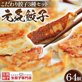 【ふるさと納税】元気餃子のこだわり餃子3種セット（64個入り/冷凍生餃子）［No.010］／食べ比べ ギョーザ専門店 中華総菜 点心 もちもち パリパリ