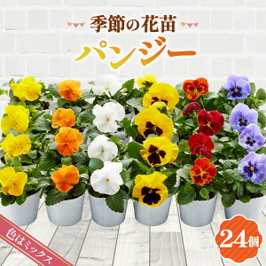 �y�ӂ邳�Ɣ[�Łz�G�߂̉ԕc �p���W�[ 24�Z�b�g�mNo.046�n�^�F�̓~�b�N�X ���܂��� ��������