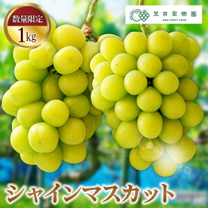 �y�ӂ邳�Ɣ[�Łz�y��s�\��z�r��ʎ����̃V���C���}�X�J�b�g�@��1kg �^ ���� �Ԃǂ� �u�h�E �t���[�c �ʕ� 1000g 2�[ ���ʌ���mNo.068�n