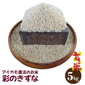 yӂ邳Ɣ[ŁzyACK_@̂āzKo_uʂ̂ȁv5kg@ā@ĕwOKmNo.096n