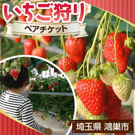 【ふるさと納税】［観光福祉農園元気ファーム］いちご狩りペアチケット（1ハウス分割貸切）［No.134］