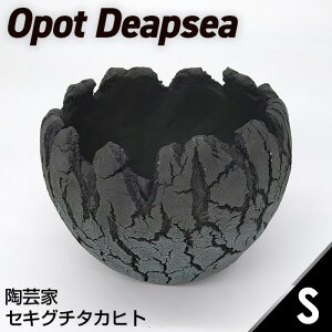 yӂ邳Ɣ[Łz|ƃZLO`^Jqg̐Aؔ Opot Deapsea STCYmNo.167n