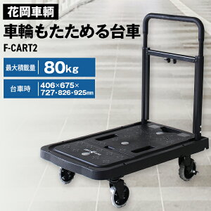 yӂ邳Ɣ[Łzԉq ԗւ߂ tbgtbgJ[gmNo.189n^y RpNg ubN F-CART2