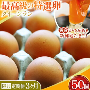 yӂ邳Ɣ[Łzg߂VNn܂ NC[ ԋ 50×3i21jsuցtmNo.198n