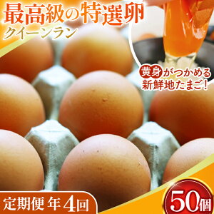 yӂ邳Ɣ[Łzg߂VNn܂NC[ ԋ50s֔N4tmNo.213n