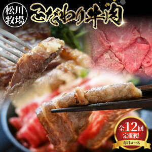 yӂ邳Ɣ[Łz̑SʐeIq̂苍ʕ 12 q10g/ނ܂rmNo.332n