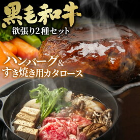 【ふるさと納税】黒毛和牛欲張り2種セット［すき焼き用カタロース＆ハンバーグ］［No.432］