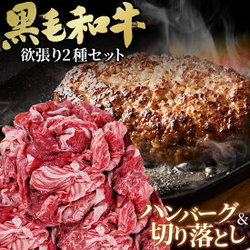 【ふるさと納税】黒毛和牛欲張りセット 切り落とし 250g ハンバーグ 120g 8個 ／ 牛肉 和牛 黒毛和牛 冷凍 セット 夕食 晩ご飯 ハンバーグ すき焼き 時短 簡単 調理 お弁当 BBQ キャンプ飯 ギフト 贅沢 専門店の味 ボリューム満点 旨み No.433
