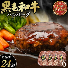 【ふるさと納税】黒毛和牛ハンバーグ120g×24個セット［No.441］
