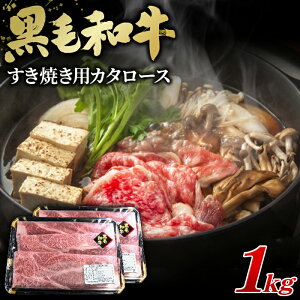 yӂ邳Ɣ[ŁzјaĂpJ^[X1000gmNo.452n