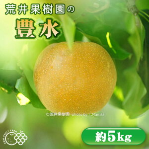 �y�ӂ邳�Ɣ[�Łz�y��s�\��z�r��ʎ����̖L���@��5kg �^ �t���[�c �ʏ` �ʕ� �� �Ȃ� �i�V �Â� ��ʌ� No.526