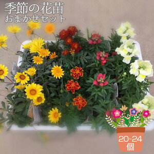 yӂ邳Ɣ[ŁzG߂̉ԕc܂Zbg 20`24|bg͂ mNo.043n