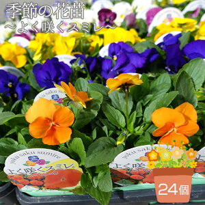 yӂ邳Ɣ[ŁzG߂̉ԕc pW[`悭炭X~` 24Zbg F̓~bNX ܂ mNo.102n ^ ԕc Zbg  A Ԓd H ~ t K[fjO SҌ 񂹐A 