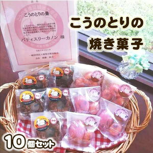 yӂ邳Ɣ[ŁẑƂ̏Ăَq@10ZbgmNo.510n