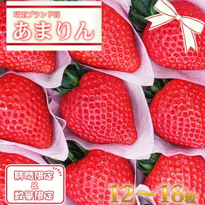 yӂ邳Ɣ[Łzstʌuhw܂x@12`18@y11218-0033z@#  [J [Js ܂ ԉ
