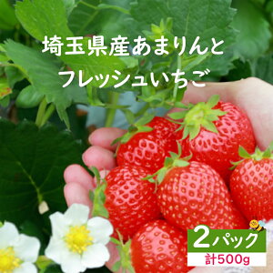 <先行受付>【ふるさと納税】安藤農園 埼玉県産あまりんとフレッシュいちご 各1パック(計500g) 苺 いちご フルーツ デザート 贈答 深谷 深谷市 紅ほっぺ 章姫 やよい姫 かおりん あまり