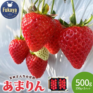 �y�ӂ邳�Ɣ[�Łz�y��s��t�z�g�c���񂿂̊��n䕁u���܂��v�@500g�@�y11218-0846�z