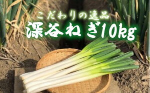 yӂ邳Ɣ[Łzyt[JlM@10kg@y11218-0538z@# [J˂ ˂ [J [Js yt h