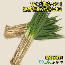 【ふるさと納税】JAふかや　農家直送　深谷ねぎ泥付き5kg（保存袋入り）　【11218-0412】　# 深谷ねぎ ねぎ 深谷 深谷市 土付き ドロ