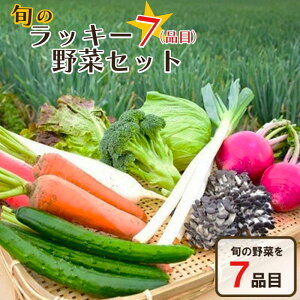 yӂ邳Ɣ[Łz{̃bL[7؃Zbgi7lj@y11218-0114z